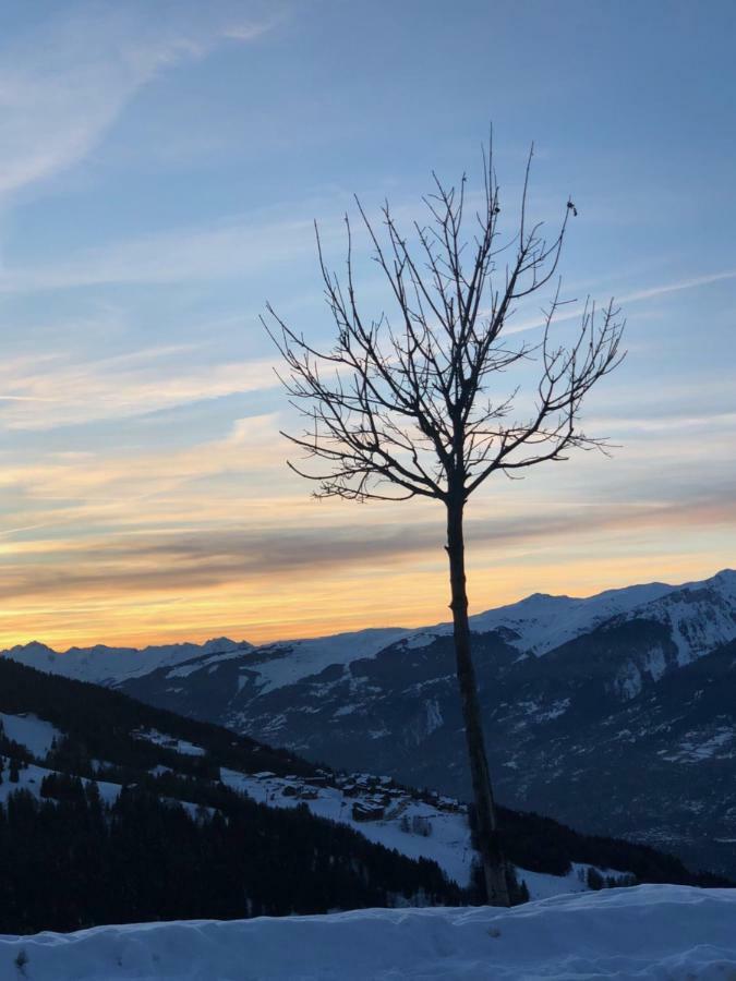 Apartment Le Falyoucher Peisey-Nancroix